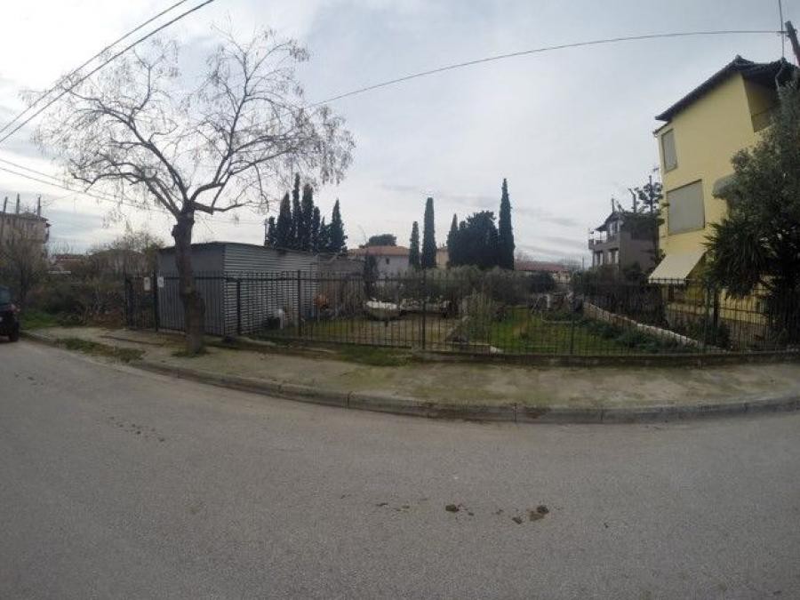 Οικόπεδο 516 τ.μ. πρός πώληση, Μαγνησία, Αγριά