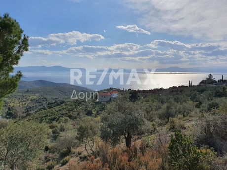 Parcel 8.800sqm for sale-Afetes » Center