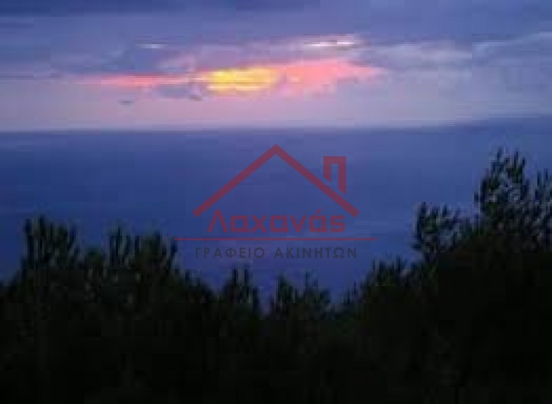 Αγροτεμάχια 8.554 τ.μ. πρός πώληση, Ζάκυνθος, Λαγανάς