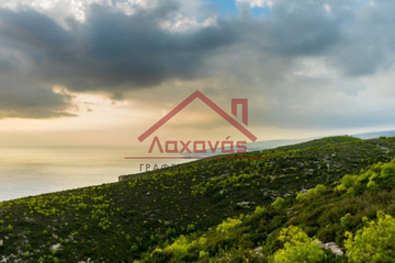 Αγροτεμάχια 8.554 τ.μ. πρός πώληση, Ζάκυνθος, Λαγανάς