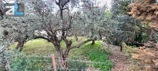 Οικόπεδο 645 τ.μ. για πώληση, Αχαΐα, Πάτρα-thumb-11