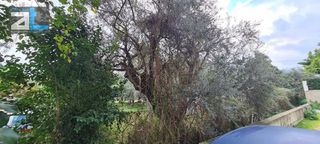 Οικόπεδο 645 τ.μ. για πώληση, Αχαΐα, Πάτρα-thumb-10