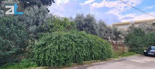Οικόπεδο 645 τ.μ. για πώληση, Αχαΐα, Πάτρα-thumb-17