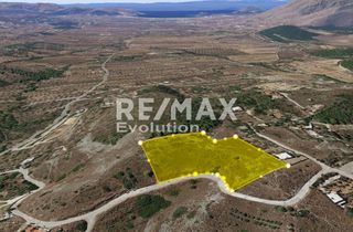 Αγροτεμάχια 9.680 τ.μ. για πώληση