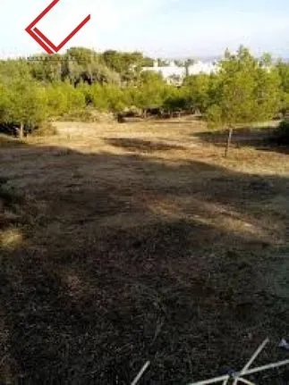 Parcel 7.800 sqm for sale, Rest Of Attica, Legrena