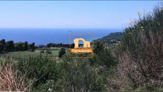 Αγροτεμάχια 4.130 τ.μ. για πώληση