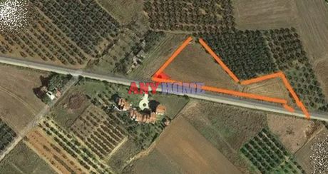 Αγροτεμάχια 4.562 τ.μ. για πώληση