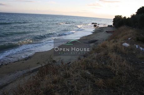 Parcel 1.000sqm for sale-Eleitheres » Pirgos