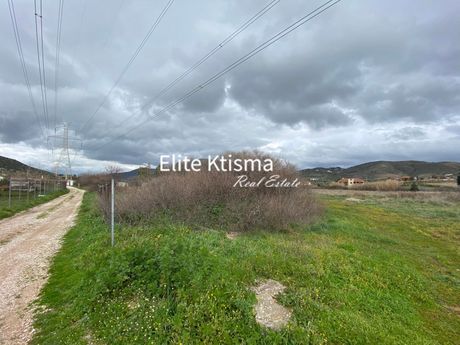 Αγροτεμάχια 6.586τ.μ. για πώληση-Κερατέα » Κέντρο