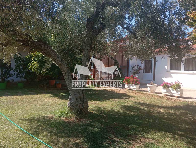 Μονοκατοικία 90 τ.μ. προς πώληση, Μάκρη Αλεξανδρούπολης