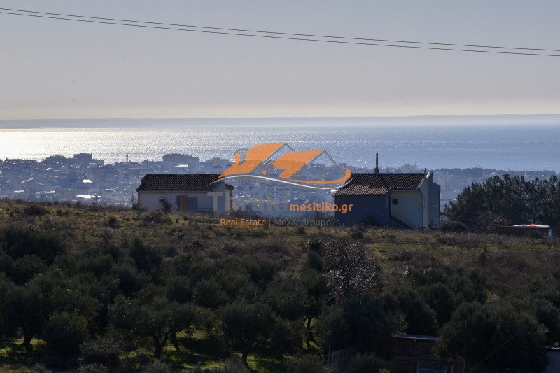Αγροτεμάχια 2.650 τ.μ. προς πώληση, Πανόραμα Αλεξανδρούπολης