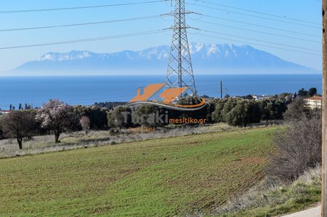 Αγροτεμάχια 2.650 τ.μ. πρός πώληση