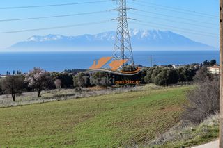 Αγροτεμάχια 2.650 τ.μ. πρός πώληση