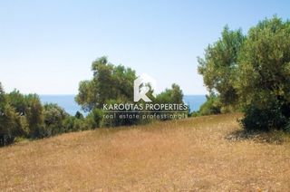 Αγροτεμάχια 20.000 τ.μ. για πώληση, Χαλκιδική, Σιθωνία-thumb-1