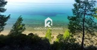 Αγροτεμάχια 20.000 τ.μ. για πώληση, Χαλκιδική, Σιθωνία-thumb-4