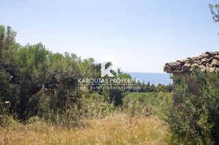 Αγροτεμάχια 20.000 τ.μ. για πώληση, Χαλκιδική, Σιθωνία-thumb-3