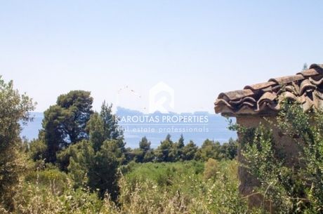 Parcel 20.000sqm for sale-Sithonia » Agios Athanasios