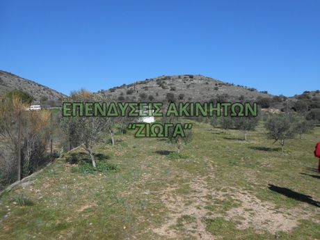 Αγροτεμάχια 9.000τ.μ. για πώληση-Βόλος » Νέες παγάσες