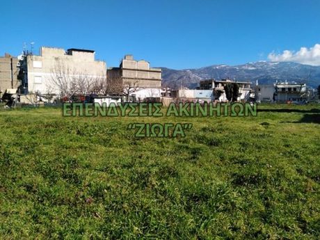 Οικόπεδο 3.000τ.μ. για πώληση-Βόλος » Νεάπολη