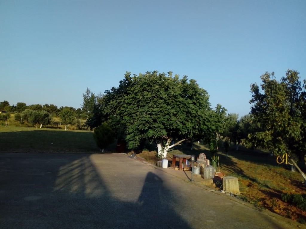 Μονοκατοικία 270 τ.μ. πρός πώληση, Εβρος, Αλεξανδρούπολη