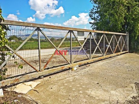 Other 8.000sqm for rent-Echedoros » Diavata