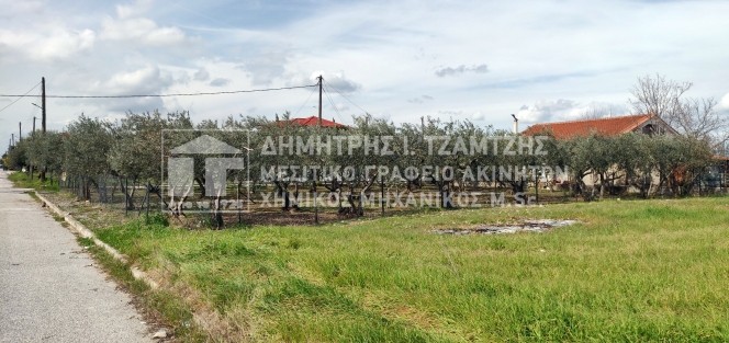 Οικόπεδο 742 τ.μ. πρός πώληση, Μαγνησία, Αλμυρός