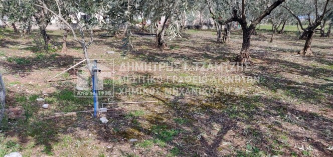 Οικόπεδο 742 τ.μ. πρός πώληση, Μαγνησία, Αλμυρός