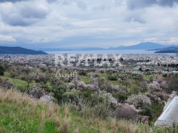 Αγροτεμάχια 13.350 τ.μ. για πώληση, Μαγνησία, Νέα Ιωνία Βόλου