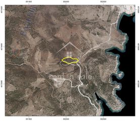 Οικόπεδο 11.390 τ.μ. προς πώληση