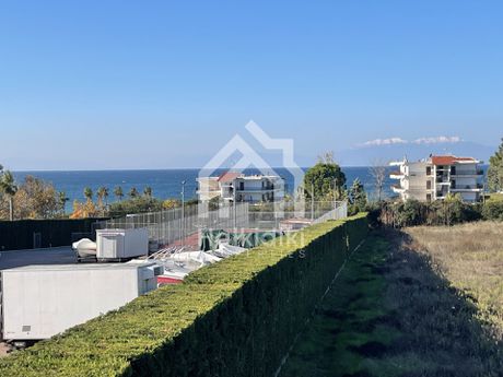 Αγροτεμάχια 6.305τ.μ. για πώληση-Μουδανιά » Νέα ποτίδαια