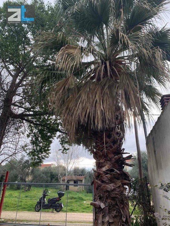Οικόπεδο 518 τ.μ. προς πώληση, Προάστιο Πάτρας