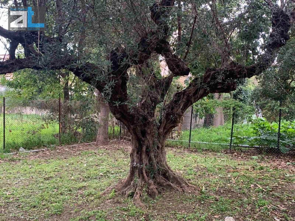 Οικόπεδο 518 τ.μ. προς πώληση, Προάστιο Πάτρας