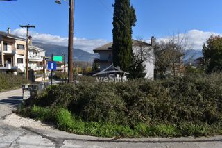 Οικόπεδο 1.688 τ.μ. για πώληση, Ν. Ιωαννίνων, Ανατολή-thumb-41