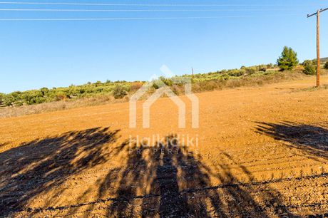 Αγροτεμάχια 12.500τ.μ. για πώληση-Σιθωνία » Παρθενώνας