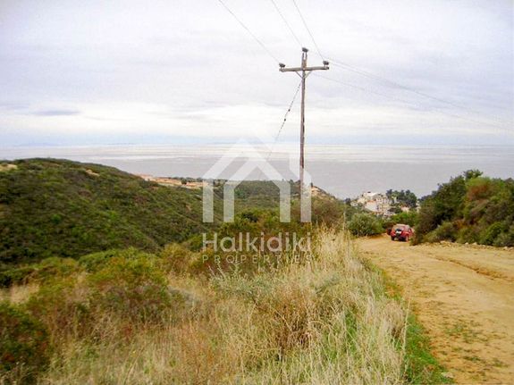 Αγροτεμάχια 5.700 τ.μ. για πώληση, Χαλκιδική, Κασσάνδρα