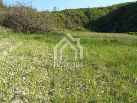 Αγροτεμάχια 10.000 τ.μ. για πώληση