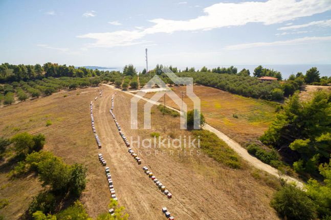 Αγροτεμάχια 15.700 τ.μ. για πώληση, Χαλκιδική, Κασσάνδρα