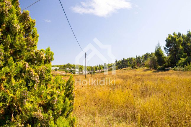 Αγροτεμάχια 30.000 τ.μ. για πώληση, Χαλκιδική, Κασσάνδρα