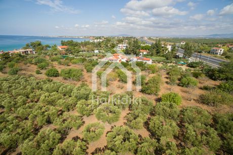 Αγροτεμάχια 14.000τ.μ. για πώληση-Κασσάνδρα » Κασσανδρηνό