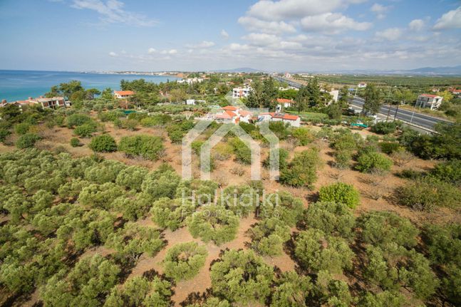 Parcel 14.000 sqm for sale, Chalkidiki, Kassandra
