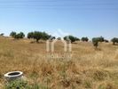 Parcel 14.000sqm for sale-Kassandra » Kassandrino