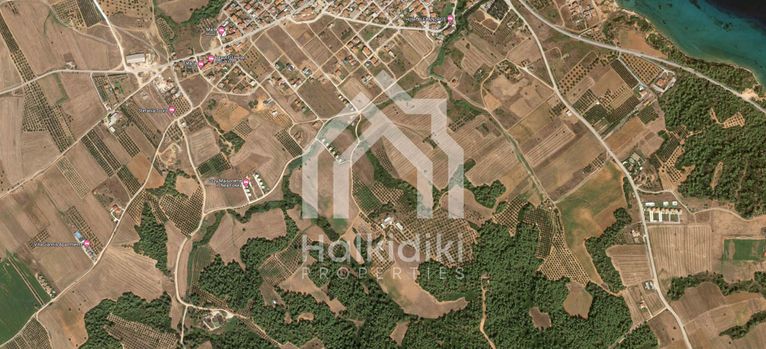 Αγροτεμάχια 7.400 τ.μ. για πώληση, Χαλκιδική, Κασσάνδρα