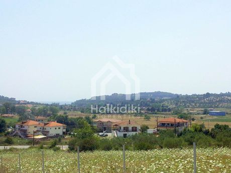 Αγροτεμάχια 4.000τ.μ. για πώληση-Κασσάνδρα » Κασσανδρηνό