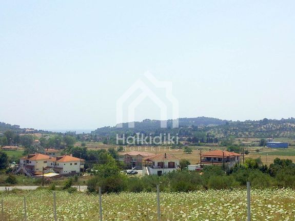 Αγροτεμάχια 4.000 τ.μ. για πώληση, Χαλκιδική, Κασσάνδρα