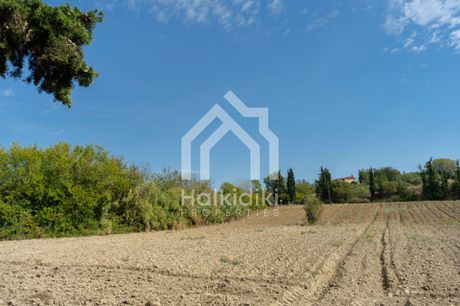 Αγροτεμάχια 6.000τ.μ. για πώληση-Κασσάνδρα » Κασσανδρηνό