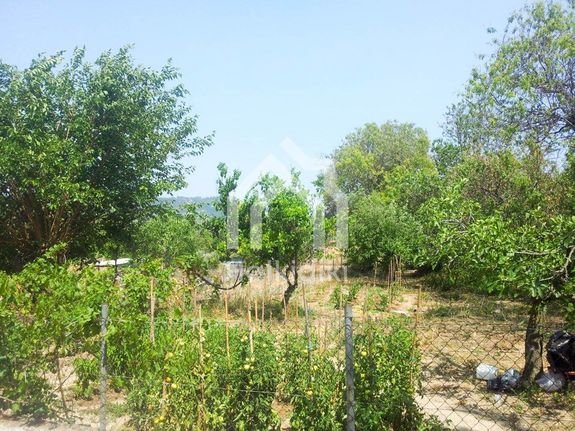 Land plot 4.000 sqm for sale, Chalkidiki, Kassandra