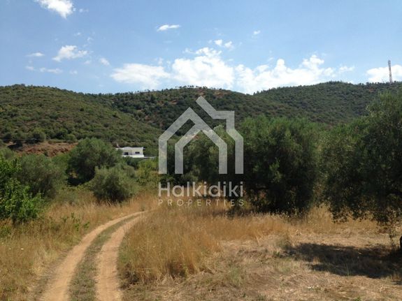 Οικόπεδο 526 τ.μ. για πώληση, Χαλκιδική, Σιθωνία