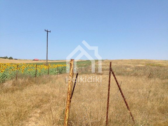 Αγροτεμάχια 6.500 τ.μ. για πώληση, Χαλκιδική, Κασσάνδρα
