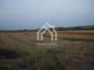 Parcel 5.000sqm for sale-Kassandra » Kassandrino