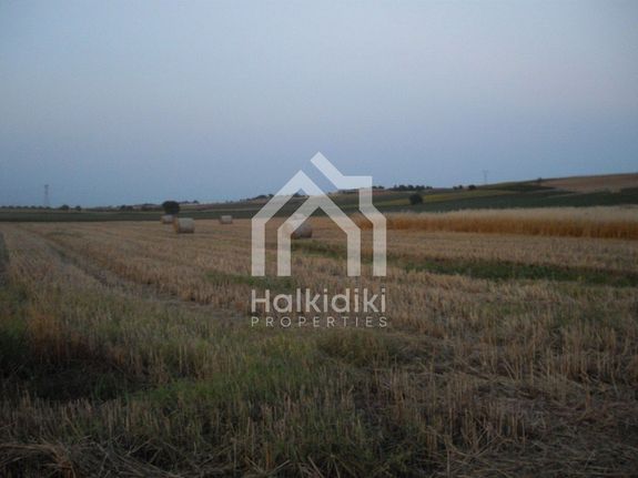 Parcel 5.000 sqm for sale, Chalkidiki, Kassandra